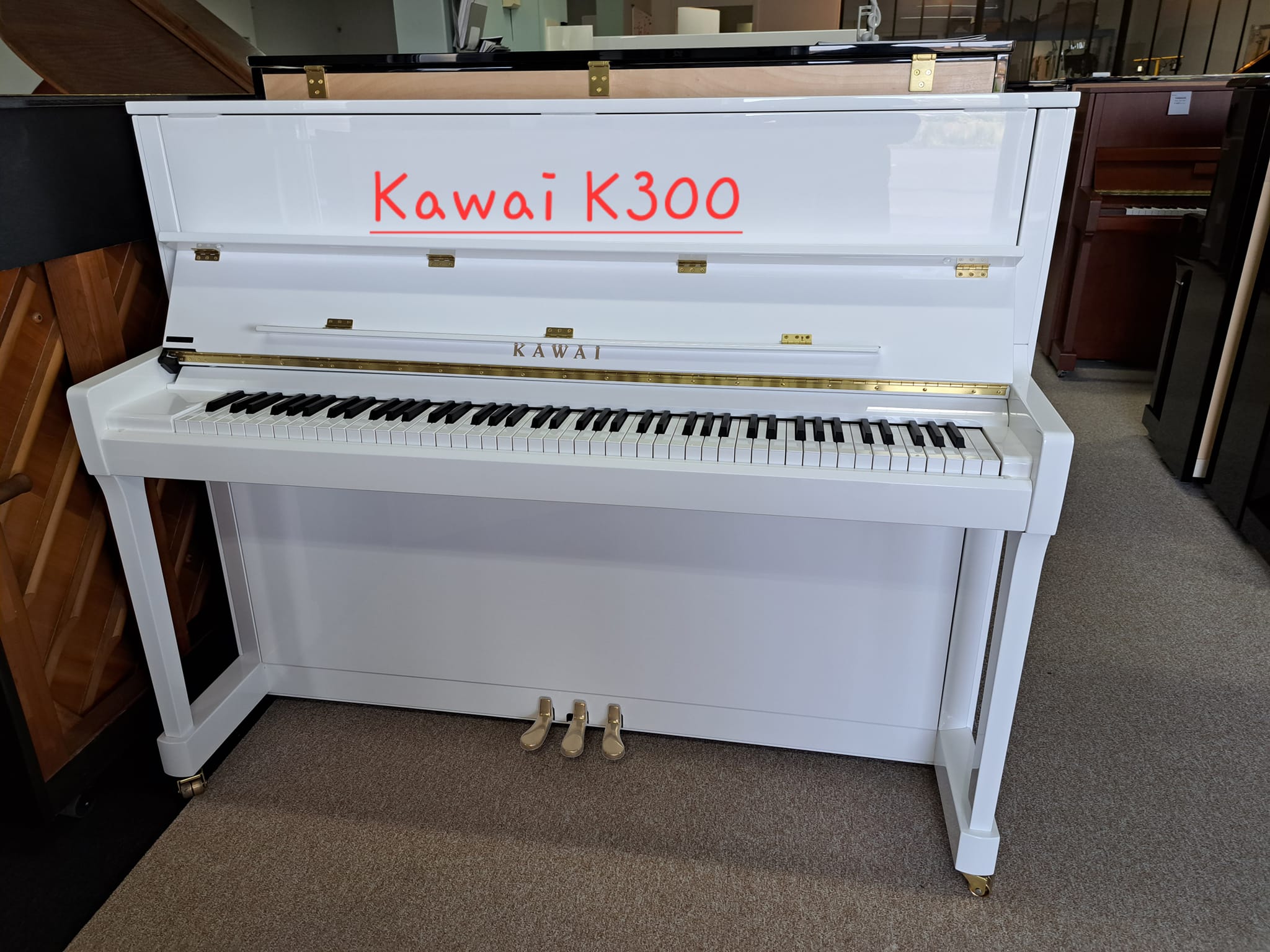 IMG BRP Vente/Kawai K300